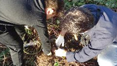 �_�Ƒ̌��ł̗�������x������