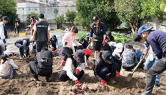 �_�Ƒ̌��ł̗�������x������