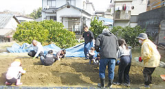 「多世代農園」におけるジャガイモの植え付け実施