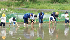 ���w���Ƃ̍����c�A�����Ƃ̎Q��