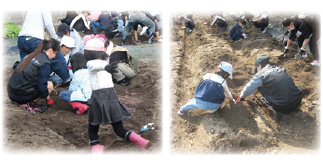 �_�Ƒ̌��ŗ�������x������